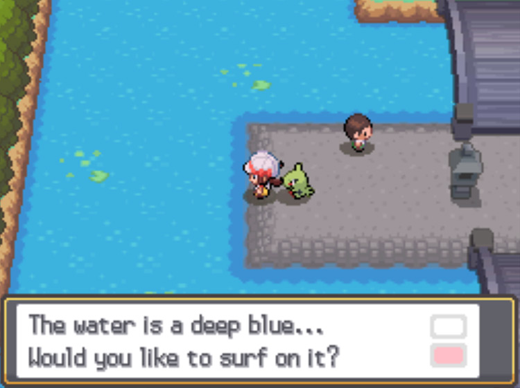 The Surf-able water in Violet City / Pokémon HGSS
