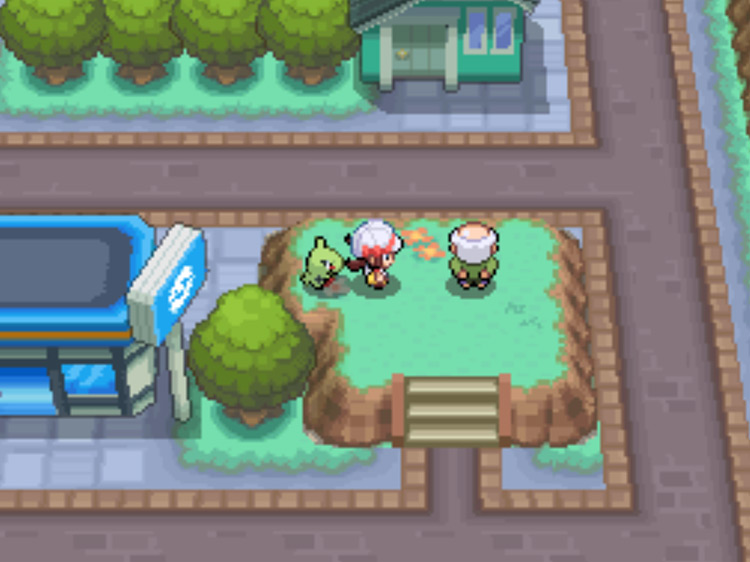 The old man in Pewter City who gives SoulSilver players their Rainbow Wing / Pokémon HGSS