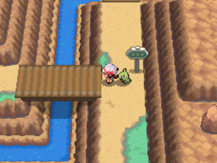 The bridge of Route 45 that you'll need to cross / Pokémon HGSS