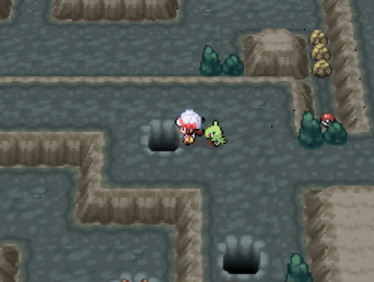 The correct one of the two holes to drop down / Pokémon HGSS