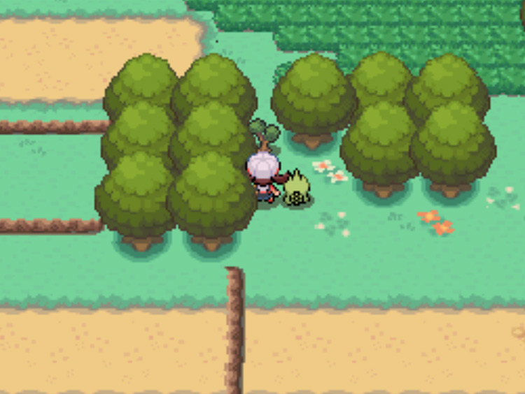 The Cut-able tree on Route 15 / Pokémon HGSS
