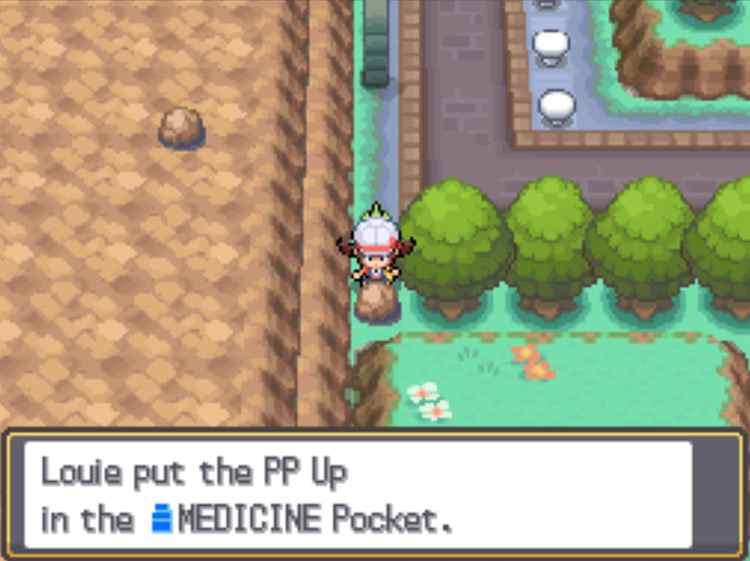 The location of the PP Up in Pewter City / Pokémon HGSS