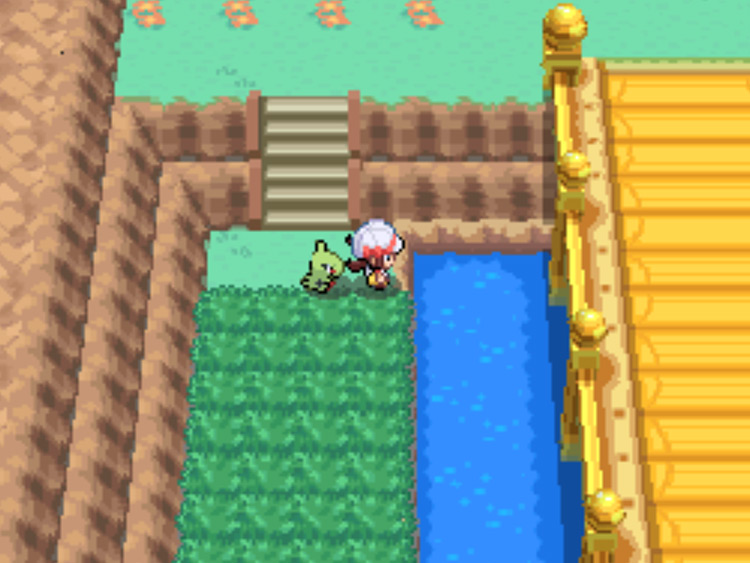 The Surf-able water on Route 25 / Pokémon HGSS