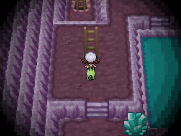 The correct ladder to climb on the ground floor of Cerulean Cave / Pokémon HGSS