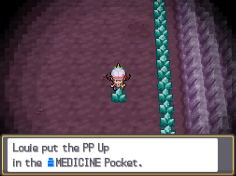 The location of the second PP Up in Cerulean Cave / Pokémon HGSS