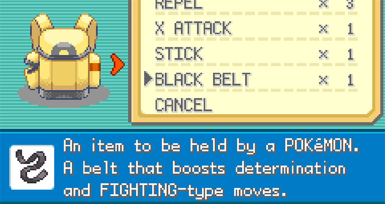 The Black Belt’s description in Pokémon FireRed and LeafGreen / Pokemon FRLG