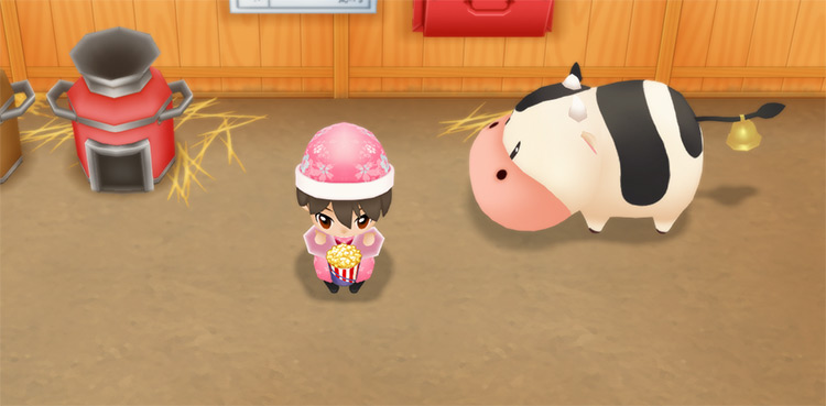 The farmer eats Popcorn to restore stamina while brushing barn animals. / Story of Seasons: Friends of Mineral Town