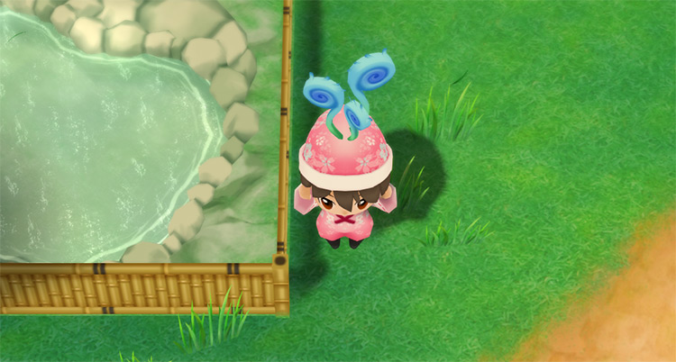 The farmer forages Blue Grass near the Hot Spring in the Summer. / Story of Seasons: Friends of Mineral Town