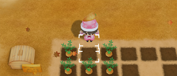 The farmer harvests Carrots from a field. / Story of Seasons: Friends of Mineral Town