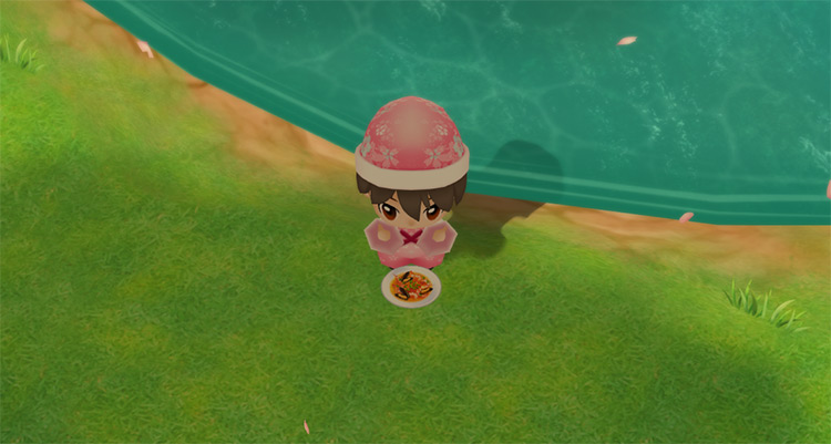 The farmer eats a bowl of Fish Soup to restore stamina while fishing. / Story of Seasons: Friends of Mineral Town
