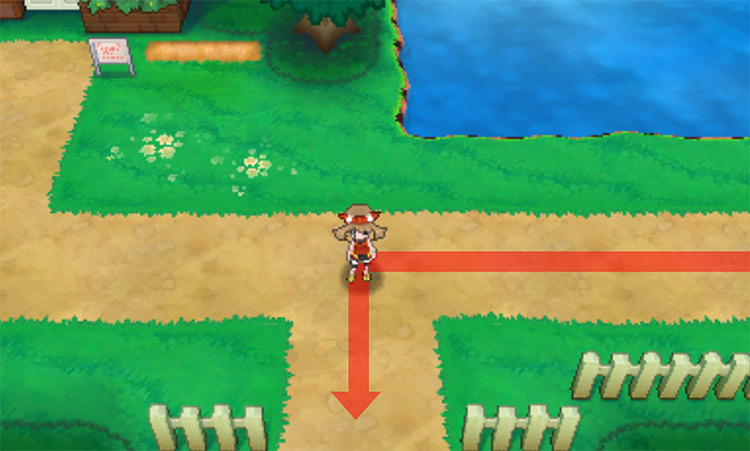 Entrance to Petalburg Woods near the Flower Shop on Route 104 / Pokémon Omega Ruby and Alpha Sapphire